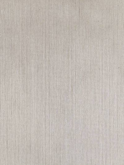Silk String - Pearl Grey | Scalamandre