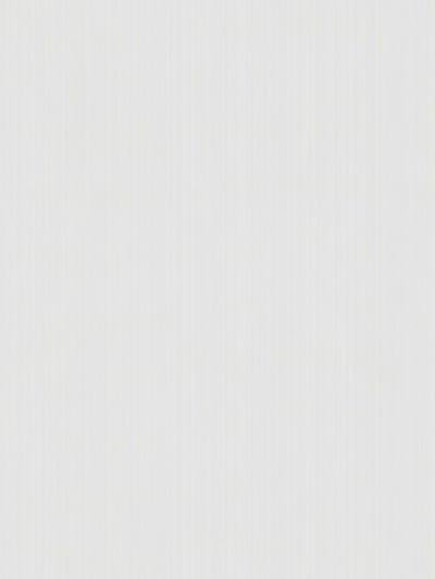 Archea Rib Stripe - White | Scalamandre