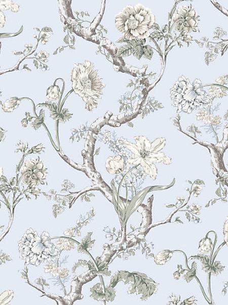 Andrew Jackson Floral - Skylight | Scalamandre