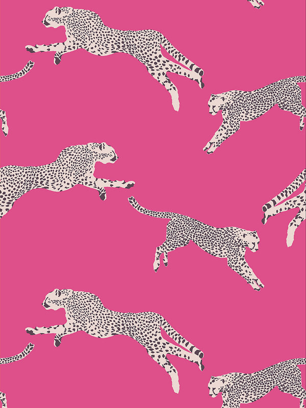 Scalamandre Leaping Cheetah Wallcovering - Bubble Gum Pink