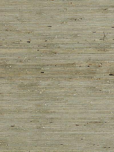 Arrowroot Weave - Water | Scalamandre