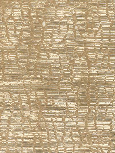 Rainshadow - Taupe & Silver | Scalamandre