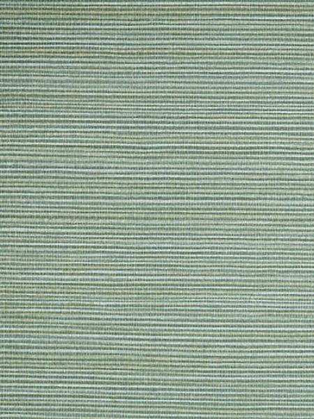 Savanna Seedling - Frond Wallpaper | Scalamandre 