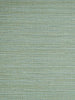 Savanna Seedling - Frond Wallpaper | Scalamandre 