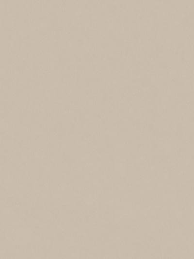 Mason Plain - Tan | Scalamandre