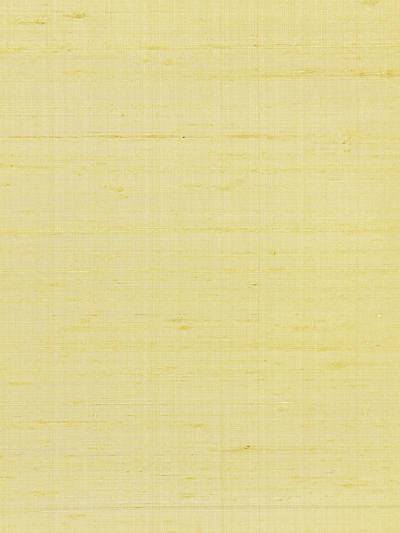 LYRA SILK WEAVE - CITRINE - SCALAMANDRE WALLPAPER - SC_0011WP88358 at Designer Wallcoverings and Fabrics, Your online resource since 2007