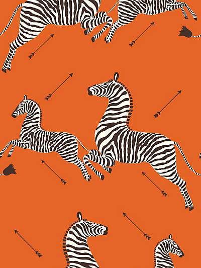 Zebras Vinyl - Orange | Scalamandre Wallcovering | Scalamandre