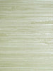 Pampas - Seagrass Wallpaper | Scalamandre 