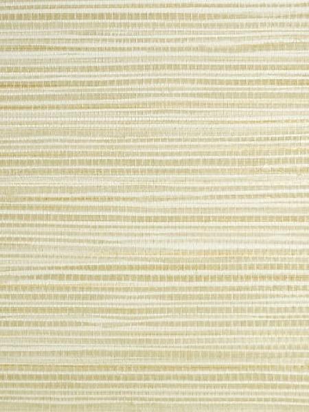 SEAGRASS - STRAW - SCALAMANDRE WALLPAPER - SC_0015WP88440 at Designer Wallcoverings and Fabrics, Your online resource since 2007