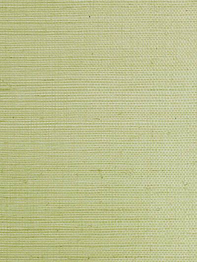 Sisal - Leaf Wallpaper | Scalamandre 