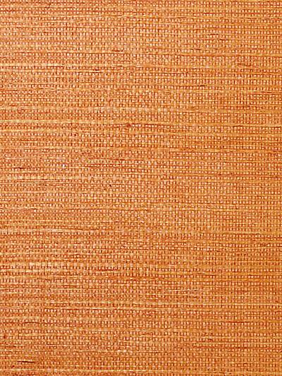 Sisal - Calypso | Scalamandre