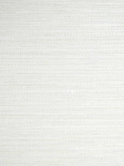 Feather Reed - Moonbeam Wallpaper | Scalamandre 