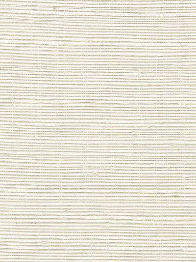 Sisal - Ivory | Scalamandre
