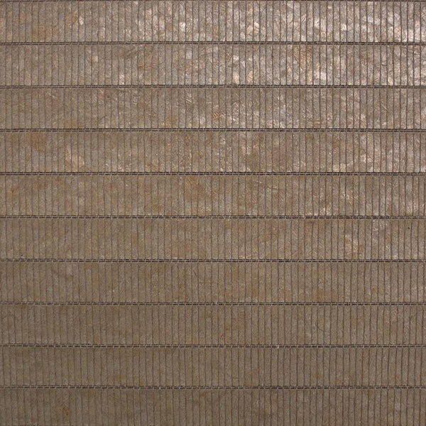 Sumatra | Innovations USA