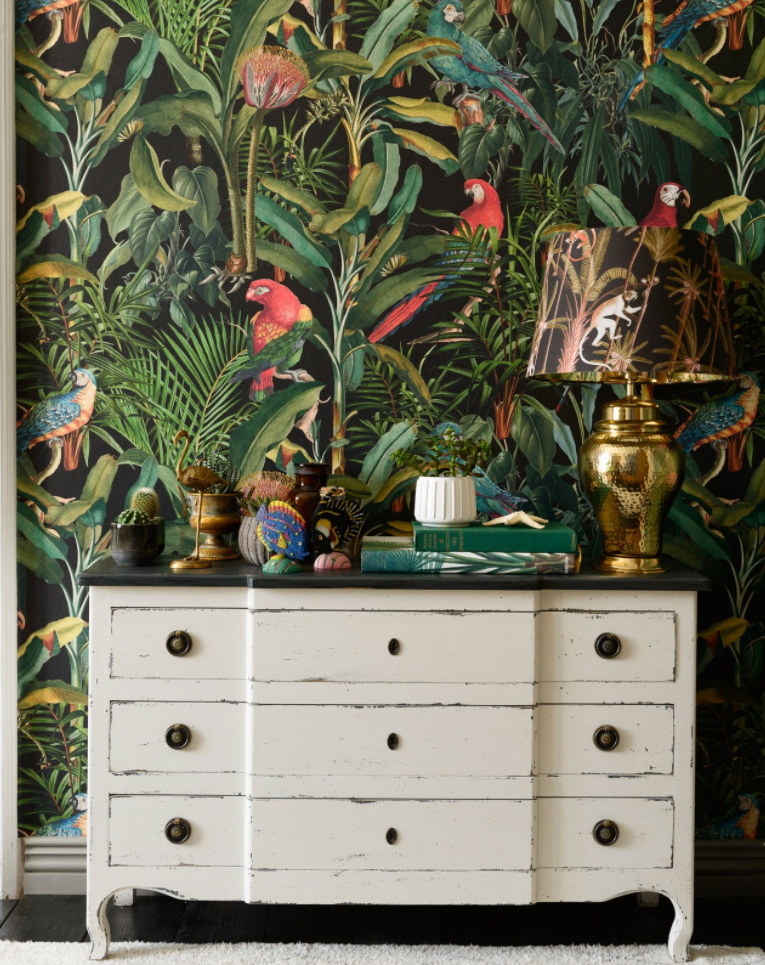 PARROTS OF BRASIL BLACK - Designer Wallcoverings and Fabrics