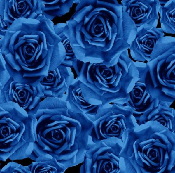 Vie en Rose - Cobalt