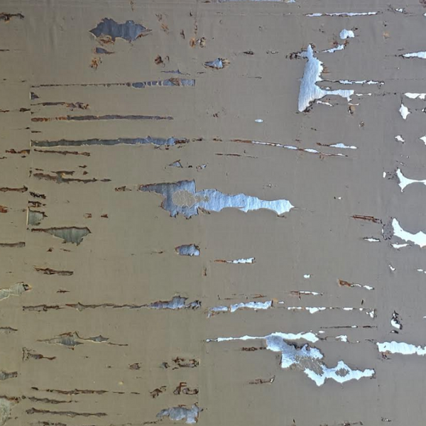 Birch Metallic Cork Wallpaper | Phillipe Romano