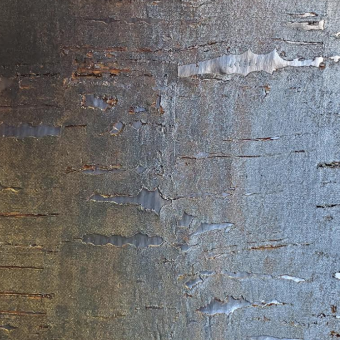 Birch Metallic Cork Wallpaper | Phillipe Romano