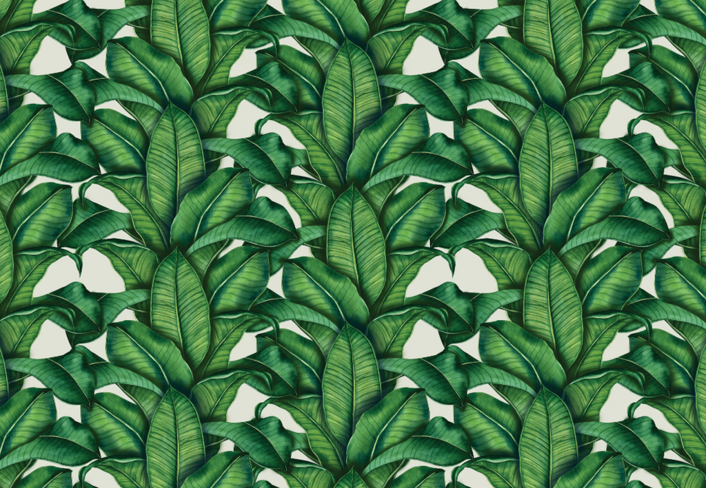 Aruba Bananas Custom Wallpaper - Designer Wallcoverings and Fabrics