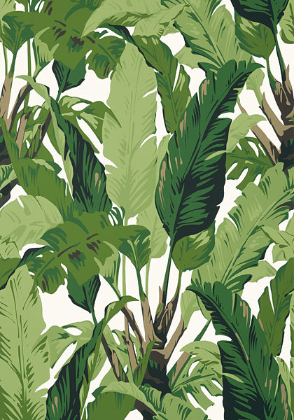 Traveler's Palm Wallpaper - Green - Designer Wallcoverings and Fabrics