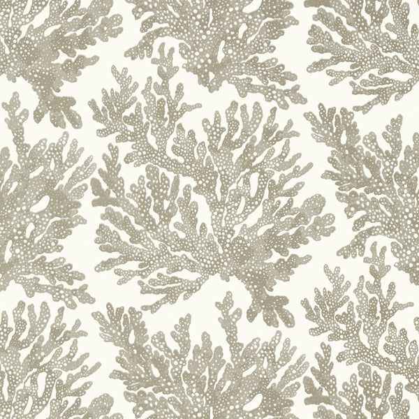 Marine Coral Beige - Beige Wallcovering | Thibaut
