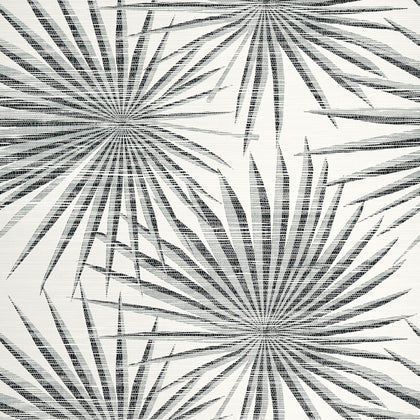 Palm Frond Black and White - Black and White Wallcovering | Thibaut