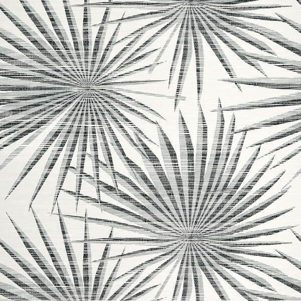 Palm Frond Black and White - Black and White Wallcovering | Thibaut