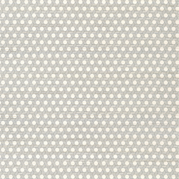 Pergola Black - Beige Wallcovering | Thibaut