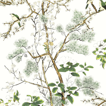 Katsura Green and White - Green and White Wallcovering | Thibaut