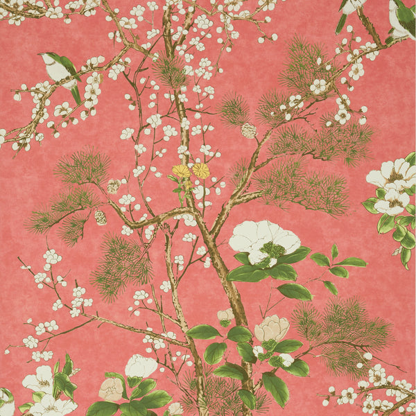 Katsura Coral - Coral Wallcovering | Thibaut