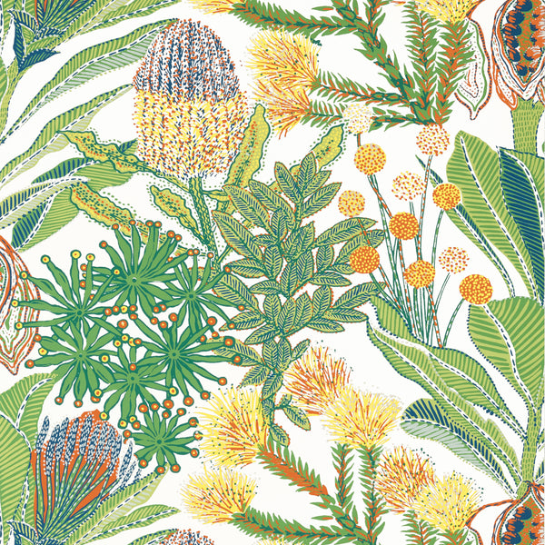 Protea Brights - Brights Wallcovering | Thibaut