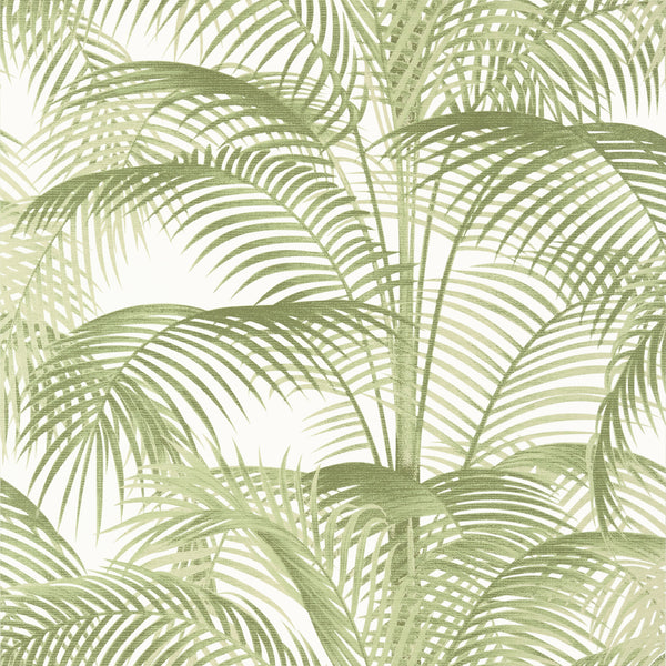 Delray Sage - Sage Wallcovering | Thibaut