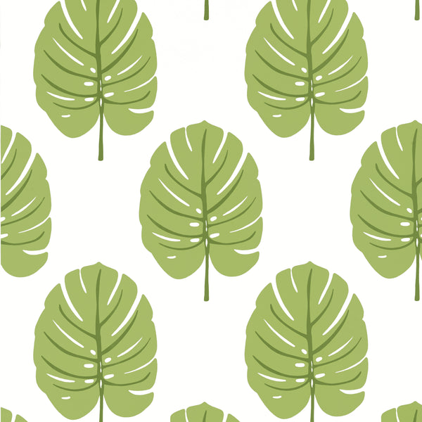 Monstera Apple Green - Avocado Green Wallcovering | Thibaut