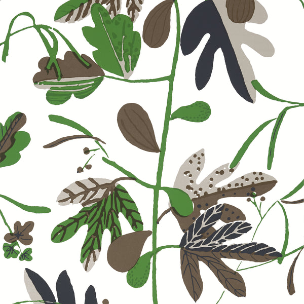 Matisse Leaf Black and Green - Black and Green Wallcovering | Thibaut