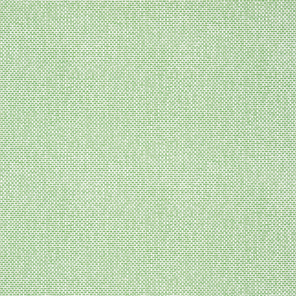 Palawan Green - Green Wallcovering | Thibaut