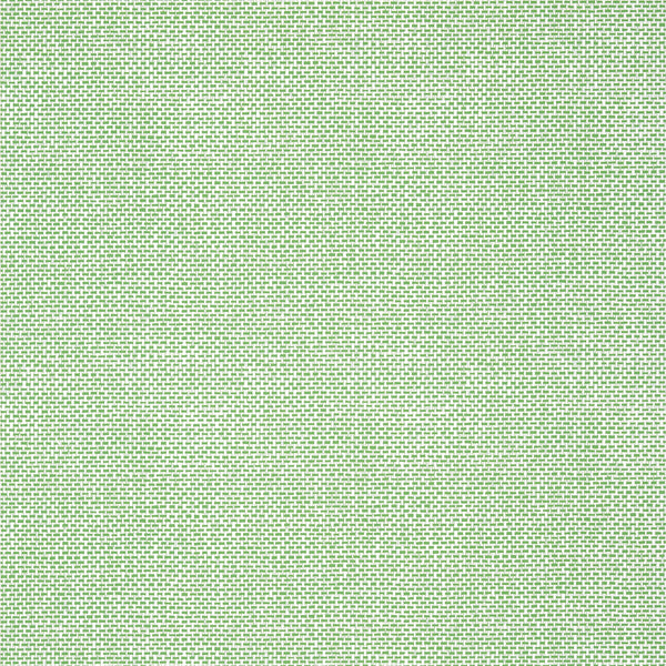 Palawan Green - Green Wallcovering | Thibaut