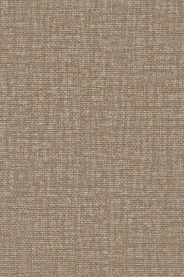 Troy-Perplexed Durable Vinyl | Phillipe Romano