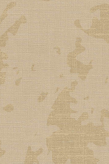 Ithaca-Golden Essence Durable Vinyl | Phillipe Romano