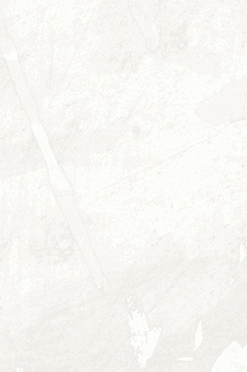 Franklin-Plaster Durable Vinyl | Phillipe Romano