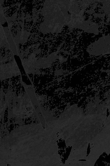 Phillipe Romano Commercial Wallcovering at DesignerWallcoverings.com