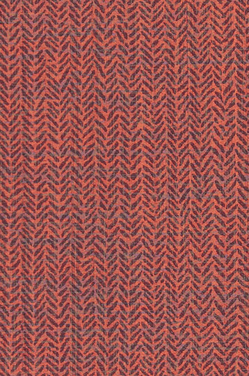 Exeter-Eccentric Cider Durable Vinyl | Phillipe Romano