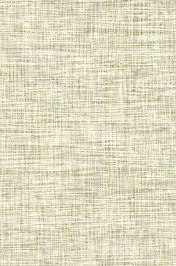 Hudson Vine-Honeydew Durable Vinyl | Phillipe Romano