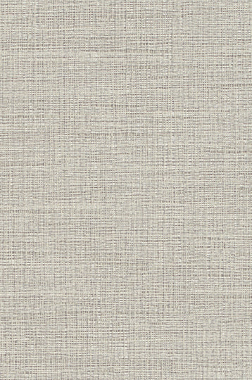 Hudson Vine-Platinum Durable Vinyl | Phillipe Romano