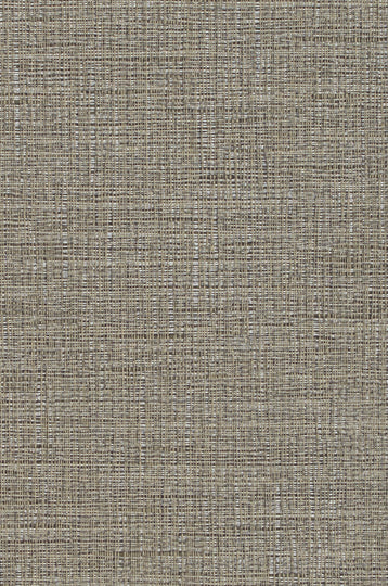 Hudson Vine-Dimgray Durable Vinyl | Phillipe Romano