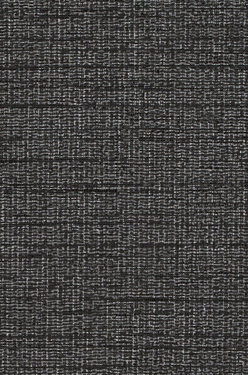 Hudson Vine-Basalt Durable Vinyl | Phillipe Romano