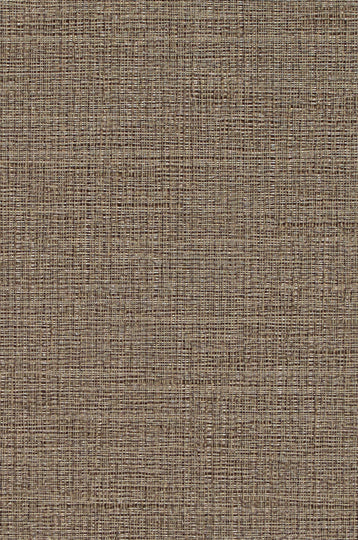 Hudson Vine-Barely Brown Durable Vinyl | Phillipe Romano