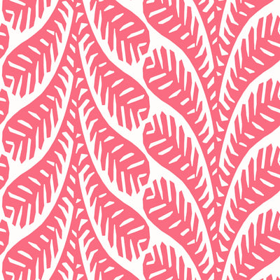 Ginger Pink - Pink Wallcovering | Thibaut