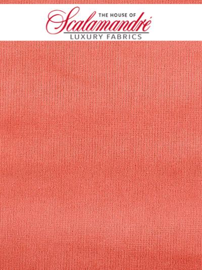 GLAMOUR VELVET - PERSIMMON - Scalamandre Fabrics, Fabrics - VPGLAM-112 at Designer Wallcoverings and Fabrics, Your online resource since 2007