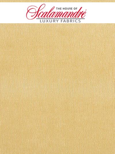 GLAMOUR VELVET - WHEAT - Scalamandre Fabrics, Fabrics - VPGLAM-420 at Designer Wallcoverings and Fabrics, Your online resource since 2007