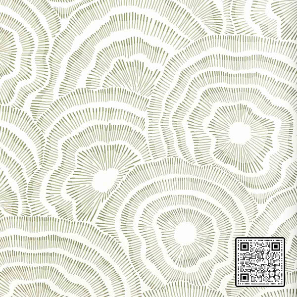  PANACHE WP CELLULOSE - 85%;POLYESTER - 15% OLIVE GREEN GREEN  WALLCOVERING available exclusively at Designer Wallcoverings